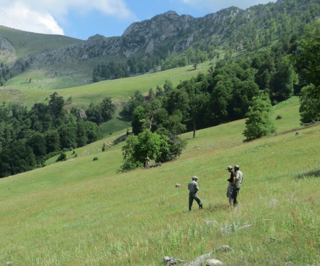 Protected area chahardangeh